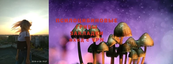 стафф Магас