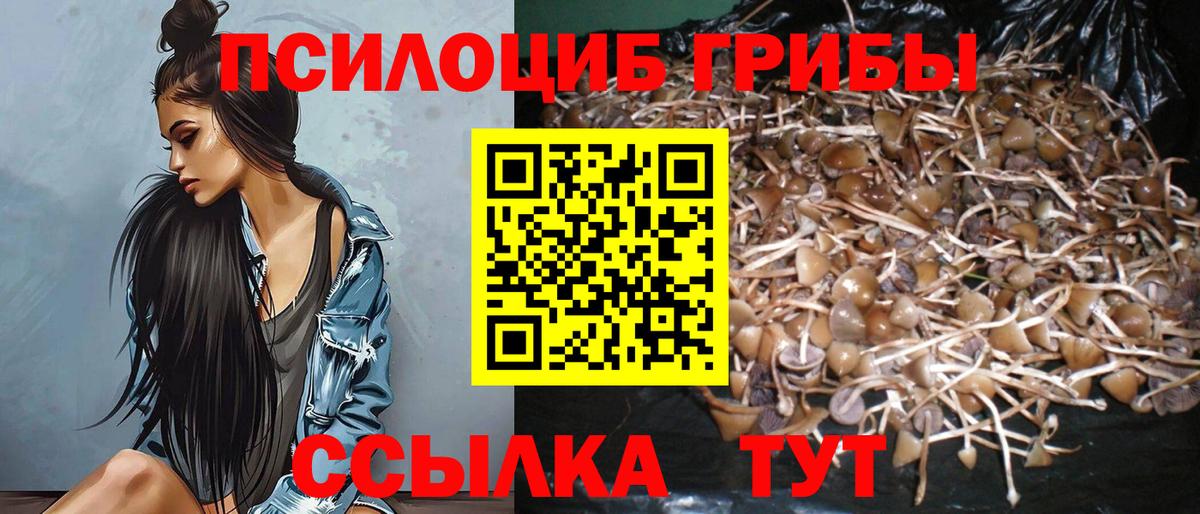 Одинцово  Псилоцибиновые грибы ЛСД  Вход с VPN 