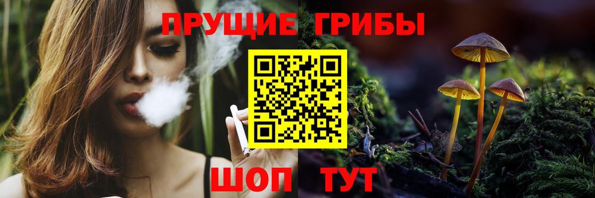 Псилоцибиновые грибы Psilocybine cubensis Одинцово